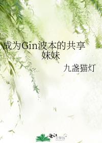��ΪGin�����Ĺ�������