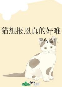 è�뱨����ĺ���