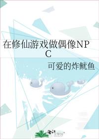 ��������Ϸ��ż��NPC