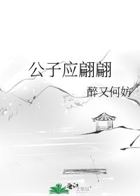 ����Ӧ����