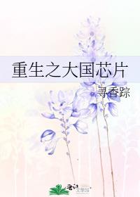 ����֮���оƬ