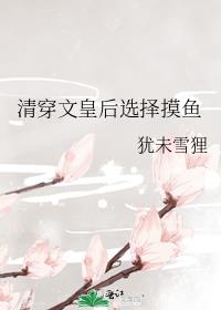 �崩�Ļʺ�ѡ������