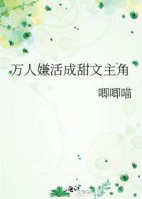 �����ӻ����������