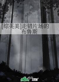 [��Ӣ��]�ߴ�Ƭ���Ĳ�³˹