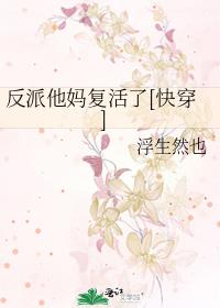 �������踴����[�촩]