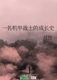 һ������սʿ�ĳɳ�ʷ