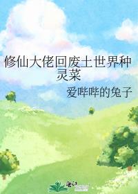 ���ɴ��лط������������