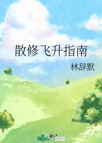 ɢ�޷���ָ��