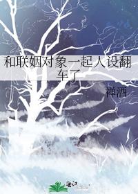 ����������һ�����跭����