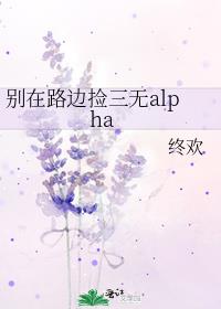 ����·�߼�����alpha