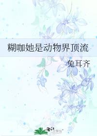 �������Ƕ���綥��