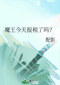 ħ�����챨˰����