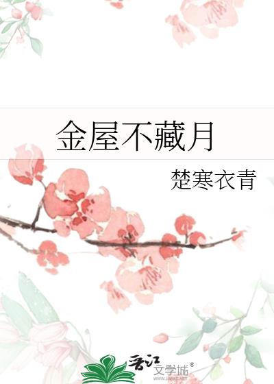 ���ݲ�����