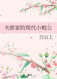 ���ɼҵ��ִ�С�๫