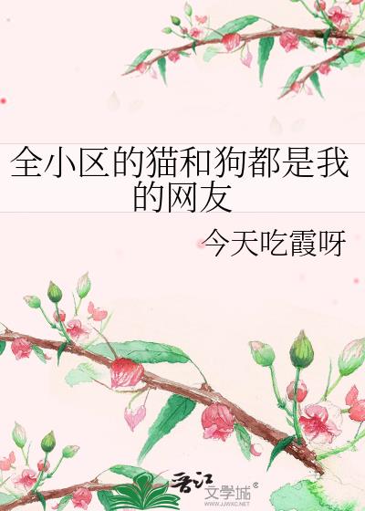 ȫС����è�͹������ҵ�����