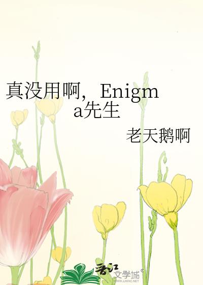 ��û�ð���Enigma����