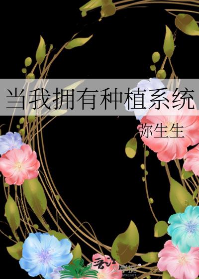 ����ӵ����ֲϵͳ