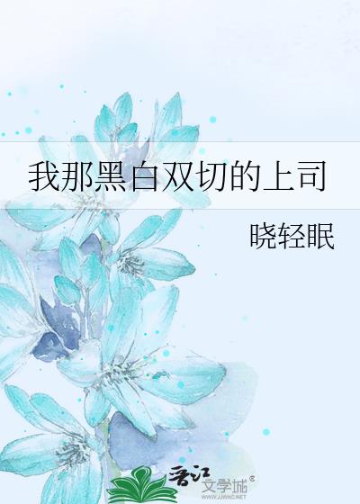 ���Ǻڰ�˫�е���˾