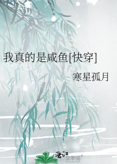 �����������[�촩]