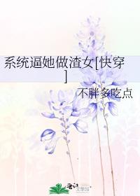 ϵͳ��������Ů[�촩]