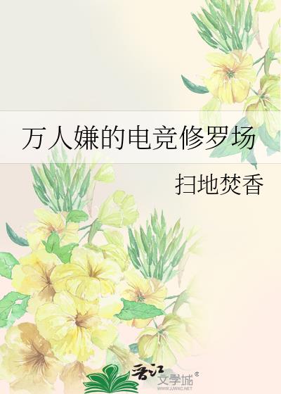 �����ӵĵ羺���޳�