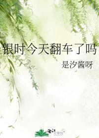 ��ʱ���췭������