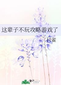 �Ⱳ�Ӳ��湥����Ϸ��