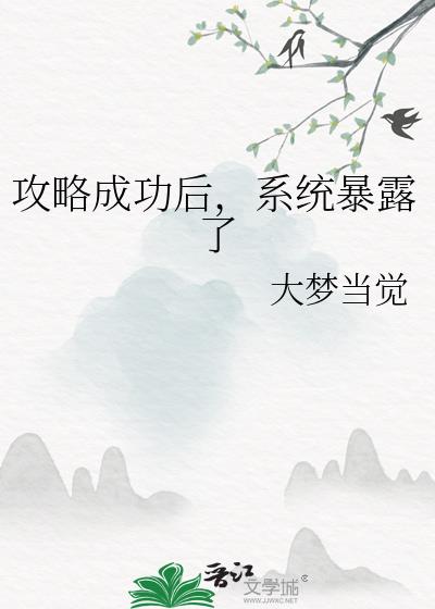 ���Գɹ���ϵͳ��¶��