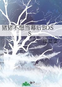 �������뵱Ļ��BOSS