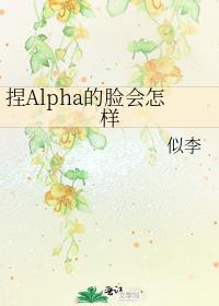 ��Alpha����������