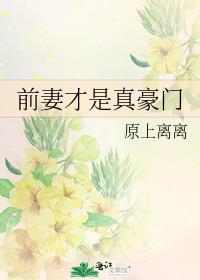 ǰ�޲��������