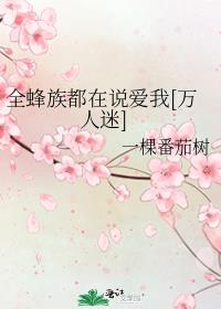ȫ���嶼��˵����[������]