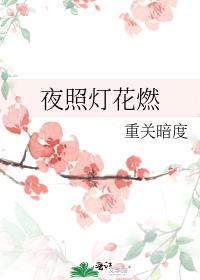 ҹ�յƻ�ȼ