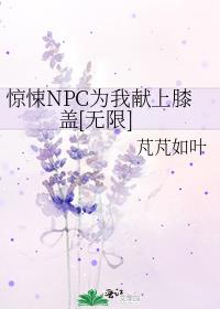 ���NPCΪ������ϥ��[����]
