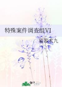 ���ⰸ��������VI