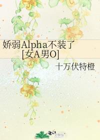 ����Alpha��װ��[ŮA��O]