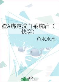 ��A��ϴ��ϵͳ�󣨿촩��