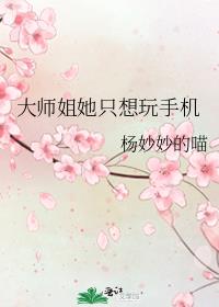 ��ʦ����ֻ�����ֻ�