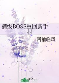 ����BOSS�ػ����ִ�