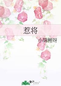 �ǽ�