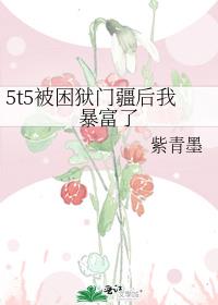 5t5�������Ž����ұ�����