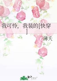 �ҿ�������װ��[�촩]