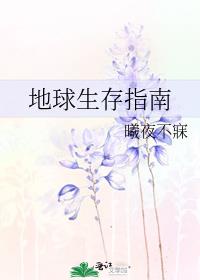 ��������ָ��