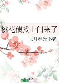 �һ�ծ����������