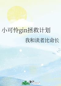 С����gin���ȼƻ�